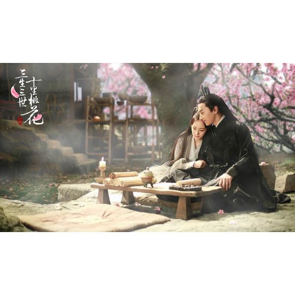 永遠の桃花〜三生三世〜 DVD-BOX2（10枚組） /【Buyee】 bot-online