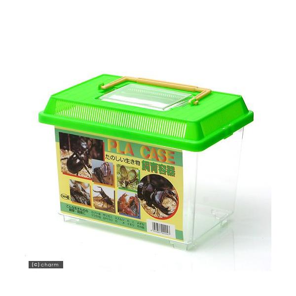 プラケース 飼育容器 小 緑（225×150×165mm） 虫かご 昆虫