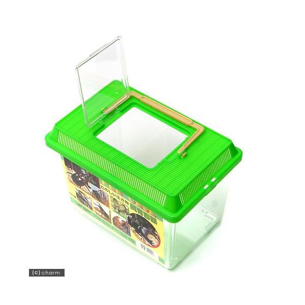 プラケース 飼育容器 小 緑（225×150×165mm） 虫かご 昆虫