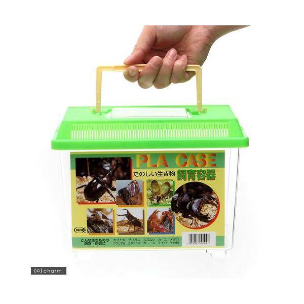 プラケース 飼育容器 小 緑（225×150×165mm） 虫かご 昆虫
