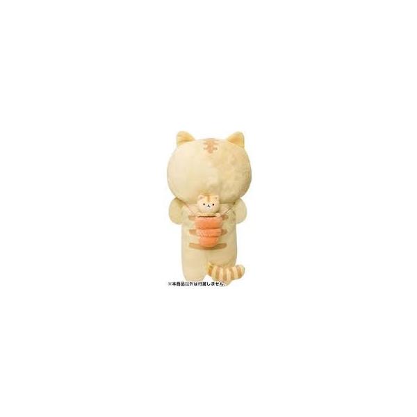 新品 ころころコロニャ 猫 ぬいぐるみ マスコット 子猫 サンエックス ころころコロニャ「ちびっコロニャ」 グッズインフォメーション