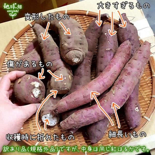 新物24キロ以上茨城県紅はるか通常S&amp;2Sメイン少し訳ありサツマイモ減農薬栽培 新物24キロ以上茨城県紅はるか通常S&2Sメイン少し訳あり