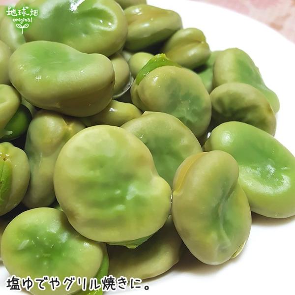 そら豆 4kg 有機栽培 鹿児島県産 農薬・化学肥料不使用 そらまめ