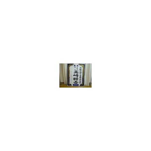 FT-210N 田中極太楷書体N /【Buyee】