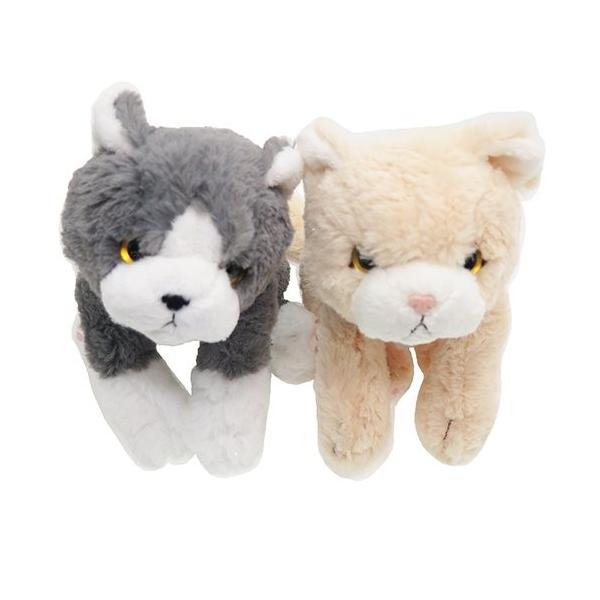 サンレモン　ひざねこ　エキゾチック　２種セット サンレモン ひざねこ エキゾチック 2種セット ひざねこ