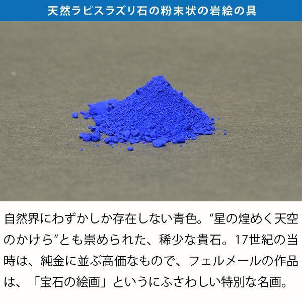 フェルメール/絵画芸術　大塚巧芸社 Amazon.co.jp: 大塚巧藝社 フェルメール デルフトの眺望 スタンダード