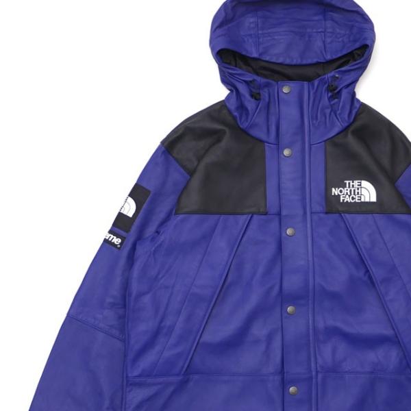 数量限定特別価格】 SUPREME x THE NORTH FACE Leather Mountain Parka