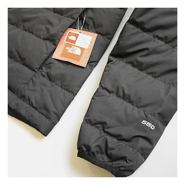 THE NORTH FACE ノースフェイス ABLATION JACKET 550フィル