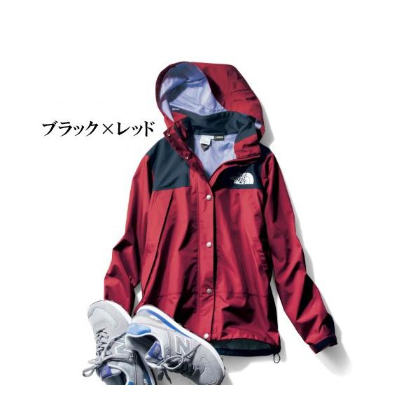 THE NORTH FACE ゴアテックスジャケット ノースフェイス マウンテンレ