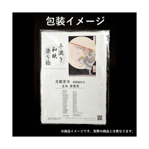 colorof_b06-053-p_4 colorof_b06-053-p_4