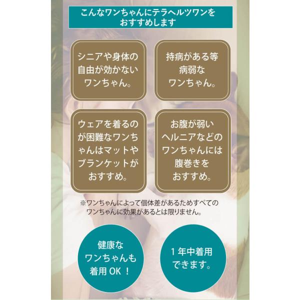 次回入荷11月中旬予定】犬介護用品 犬腹巻き めちゃ売れ♪ 【テラヘルツワン・ワンニャンテラバンド】(犬腹巻き) 5014[日本製] 小型犬 中型犬  大人気商品 /【Buyee】 Buyee - Japanese Proxy Service | Buy from Japan!