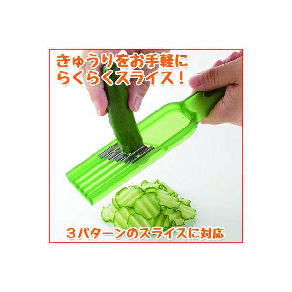 きゅうり 宮崎きゅうり】12月でも勢いが良い？芯を止めながら栽培中です