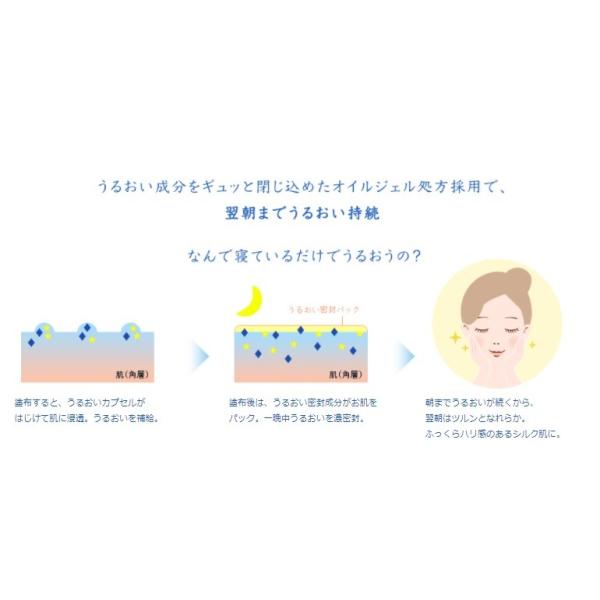 オールインワン 夜用 専科 パーフェクトジェル ナイトリニューアル