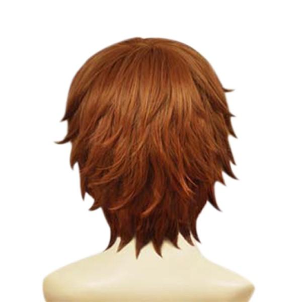 芥川慈郎 テニスの王子様 コスプレウィッグ COSPLAY WIG