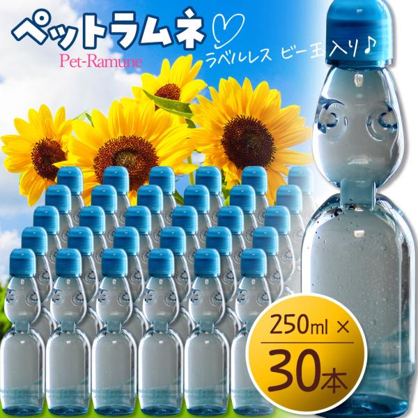 【希少】川原飲料工業 ラムネ ボンジュース サンライズジュース ホーロー両面看板 希少】川原飲料工業 ラムネ ボンジュース サンライズジュース