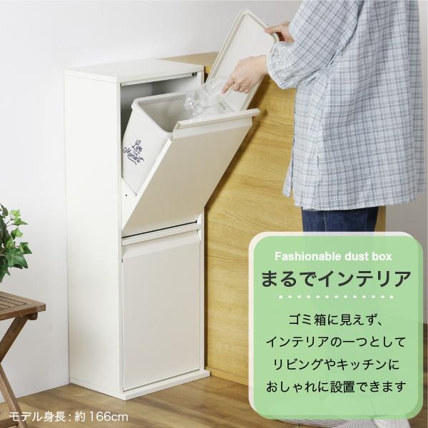2分別ダストBOX 2分別 ダストボックス ゴミ箱 ごみばこ ダンパー付 スリム スチール