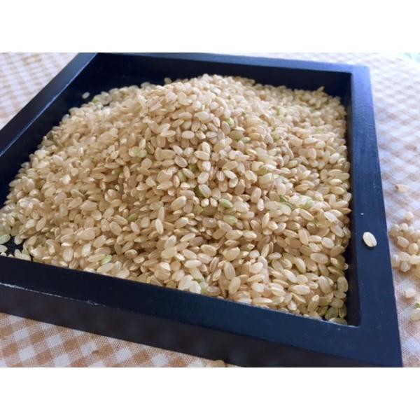 新米】はぜかけ玄米10kg (天日干し・自然乾燥) 石川ファーム自然栽培米