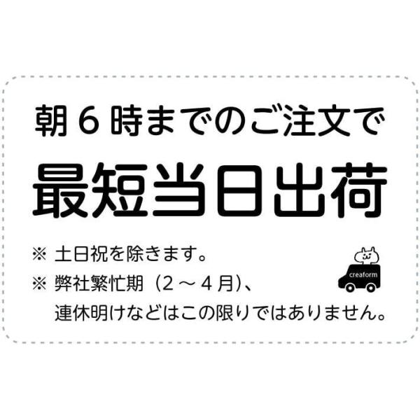 カエゴムだけ】 くつのしっぽ 替えゴム お名前シール無し うわぐつ