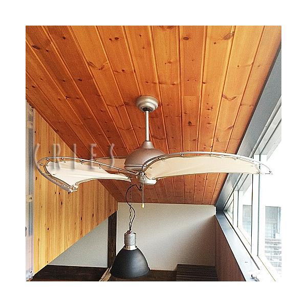 DULTON ダルトン DT03-CF01OW SINGLE SPIN CANVAS BLADES OFF WHT DT03