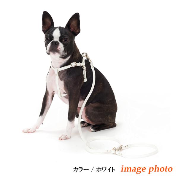 ハーネス 犬 おしゃれ 安全帯 小型犬 シンプル革ハーネス10mm幅＋
