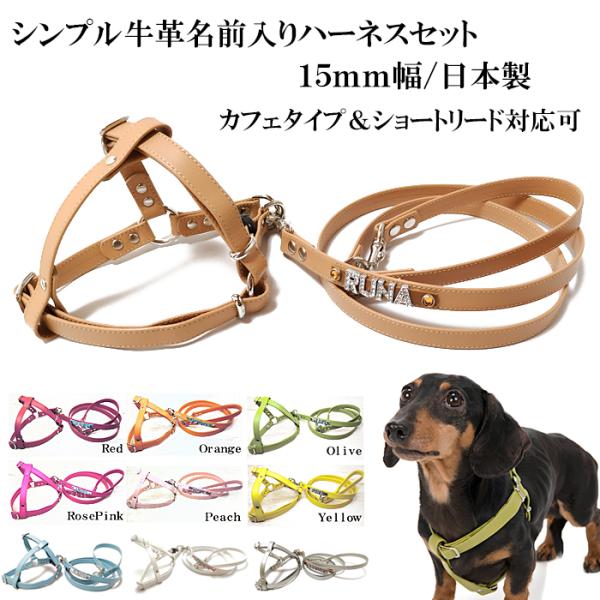 小型犬 中型犬の首輪とリードセット グリーン 1.5cm幅-