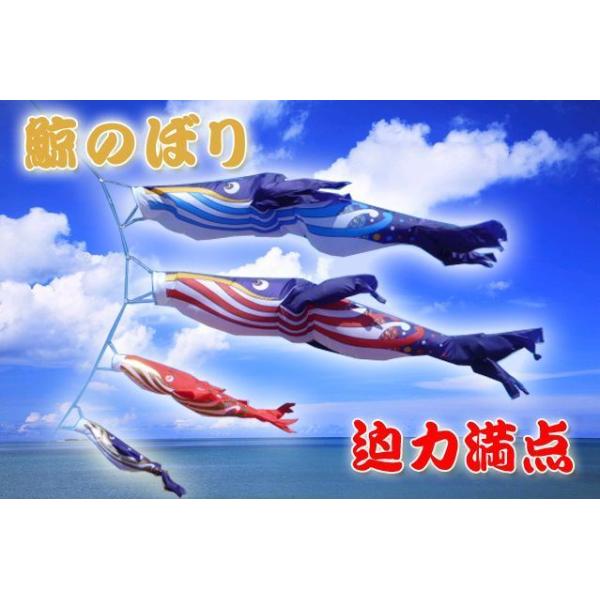 鯉のぼり　くじらのぼり　6m 青 鯨のぼり（黄金紺・黄金赤・黄金黒）1.5m /【Buyee】