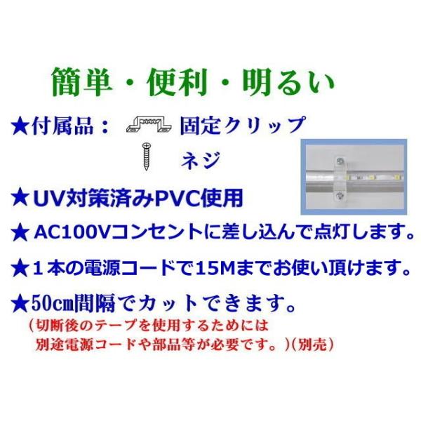 LEDテープライト コンセントプラグ付 防水屋外仕様 AC100V 4M 配線工事不要 簡単便利 昼光色 間接照明 棚照明 二列式 CY-TPC4M  /【Buyee】