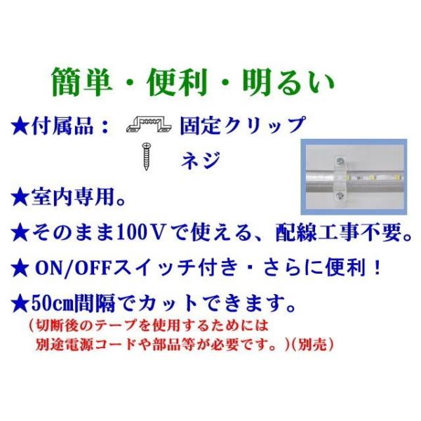 LEDテープライト スイッチ・コンセントプラグ付き AC100V 2M 配線工事