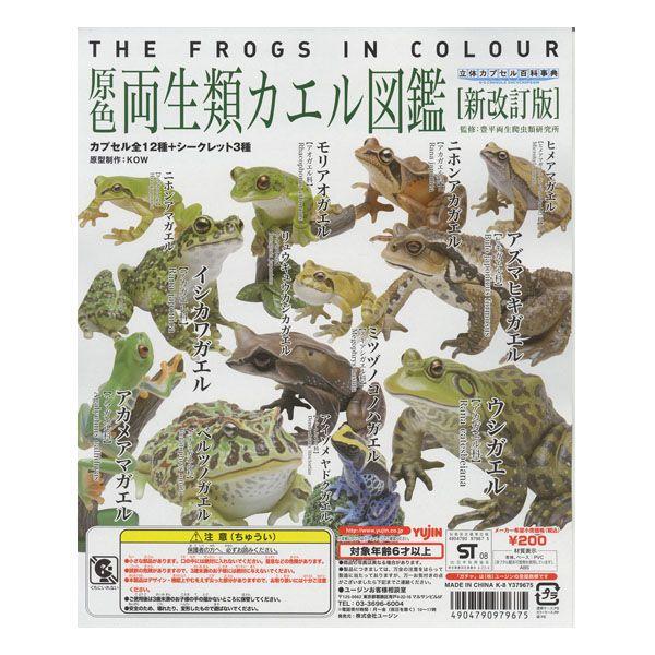 【未使用】YUJIN 原色両生類カエル図鑑　新改訂版　15種 原色両生類カエル図鑑 [新改訂版] 【YUJIN】