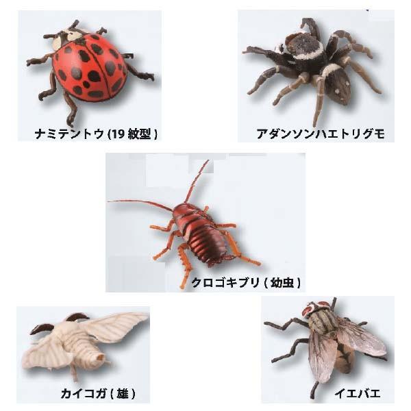 海洋堂 カプセルQミュージアム 実践 ひっつき虫図鑑 −部屋の壁の昆虫