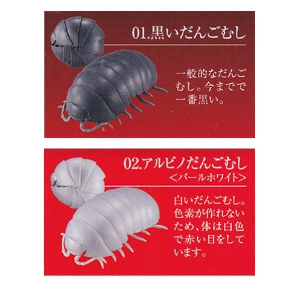だんごむし03 DANGO MUSHI 03 黒いだんごむし&アルビノだんごむし 2種セット フチゾリネッタイコシビロダンゴムシ編 バンダイ ガチャポン フィギュア /【Buyee】 バンダイ だんごむし02 全3種セット