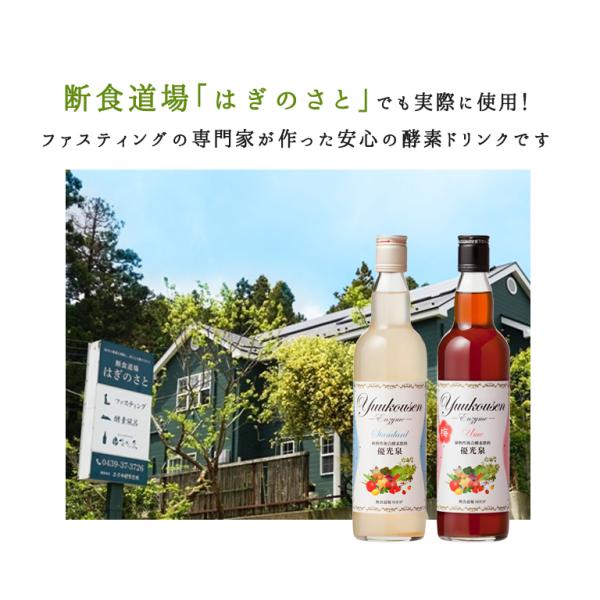 酵素ドリンク優光泉550ml×2本セットファスティングダイエットや16時間