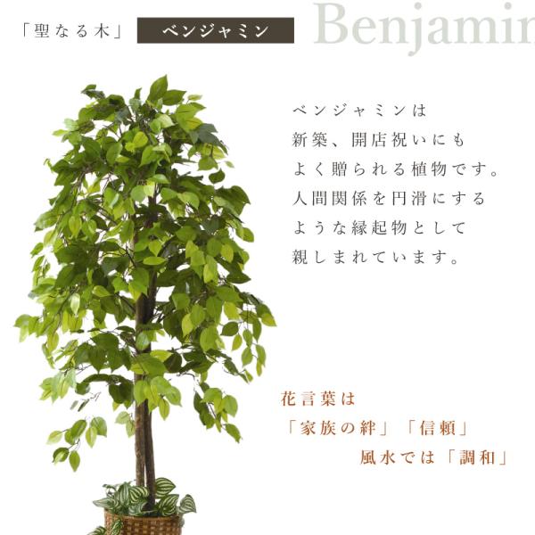 ベンジャミン 観葉植物 大型 高さ150cm フェイク グリーン おしゃれ 鉢