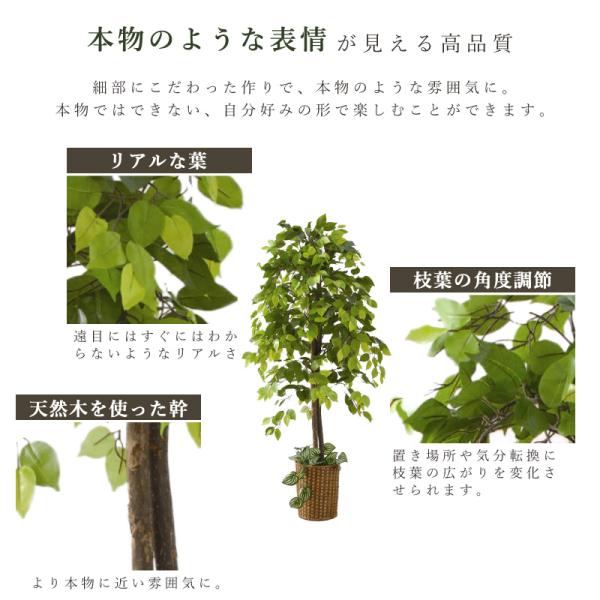 ベンジャミン 観葉植物 大型 高さ150cm フェイク グリーン おしゃれ 鉢