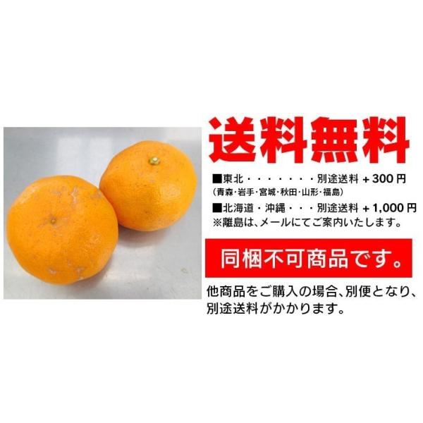 ポンカン 熊本産 訳あり ２０kg （ 10kg×2箱 ） 送料無料 九州