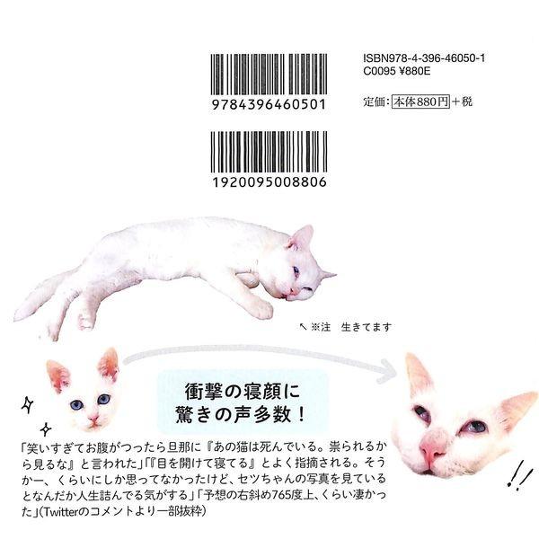 猫ちゃん様　1本 55％OFF】日本一寝顔が酷い絶世の美猫 セツちゃん /【Buyee】