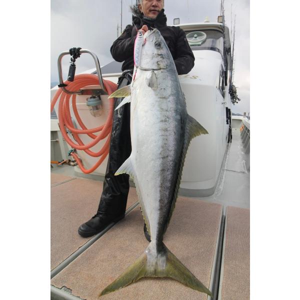 DEEP BLUE OCEAN 鼓舞羅200F−85g /【Buyee】