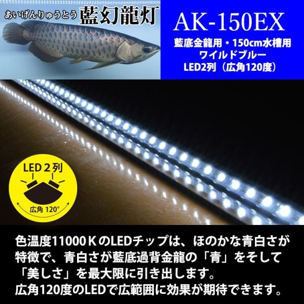プレミアムゴールドEX アロワナ水中照明 LED2列 金龍 150cm