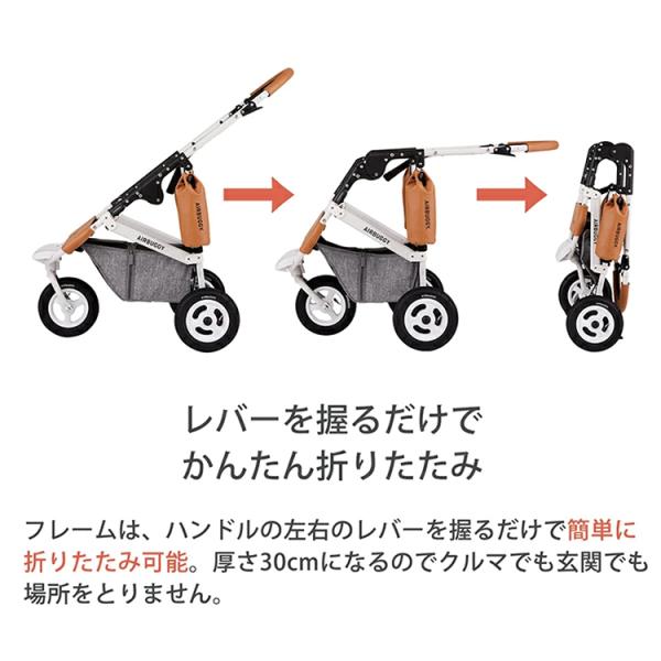 エアバギー ドーム3 ラージ セット品 DOME3 LARGE 特典あり ペット 