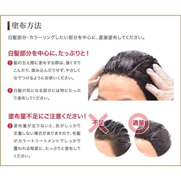 DHC Q10プレミアムカラートリートメント(白髪用) ダークブラウン (150g) 10個セット【DHC】 [白髪隠し]