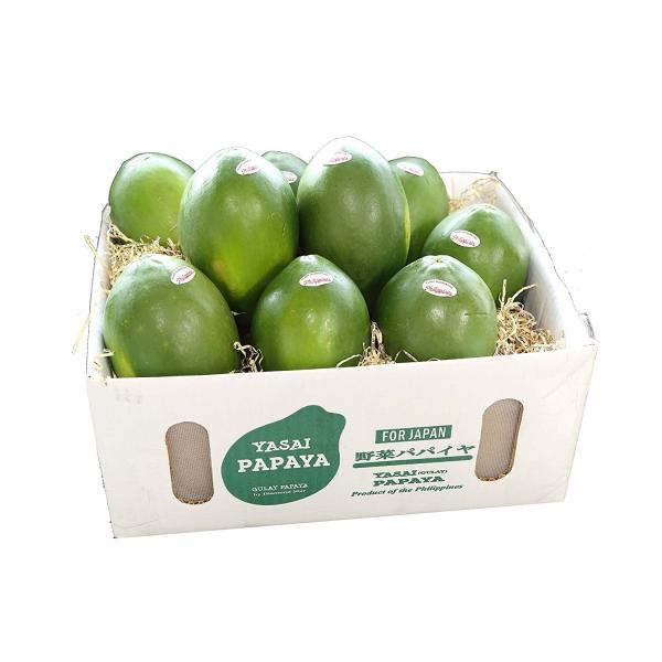 フィリピン産 青パパイヤ 野菜 8〜12玉入り green papaya 酵素たっぷり！ /【Buyee】 Buyee Japanese  Proxy Service Buy from Japan!