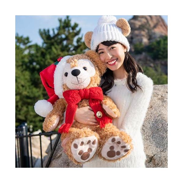 ダッフィー ぬいぐるみ Mサイズ クリスマス 2018 東京ディズニーシー