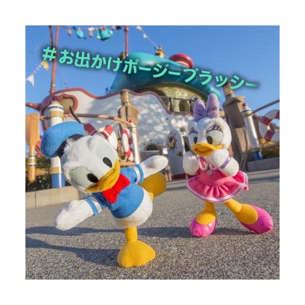 5/19〜ドナルドダック ポージープラッシー ぬいぐるみ Donald