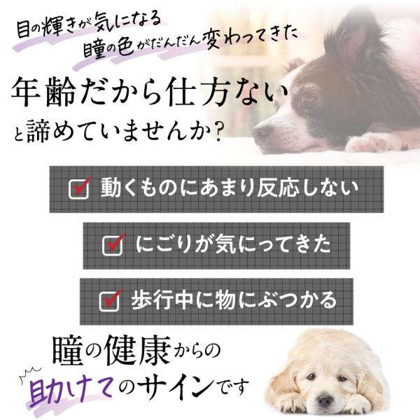 新・獣医推奨】犬猫用目のケアサプリ(旧名食べる目薬革命新名食べる目