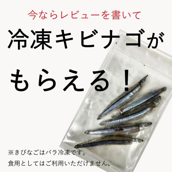 レビューを書いてプレゼント！】冷凍 どじょう 100g×5パック 小小 【約7cm 約50匹×5P】 エサ どじょう エサ 釣り えさ 熱帯魚 古代魚 餌  ドジョウ 餌 /【Buyee】