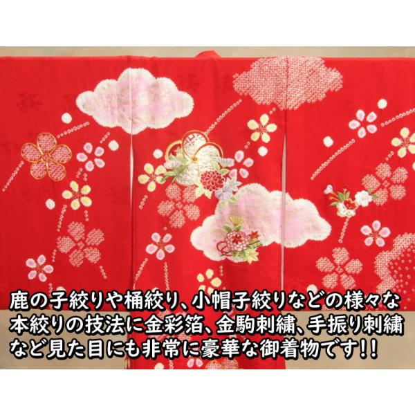 振袖 虹色片身変わり虹蝶と花 紗綾形に菊と蘭 絞り赤グレー 金彩刺繍 身丈169 TAKAZENの振袖 /白色/赤色/古典/牡丹柄/ 最新作正統派古典 白/赤
