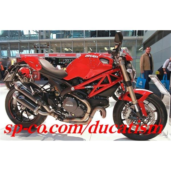 テルミニョーニ モンスター 1100 EVO スリップオン カーボンサイレンサー DUCATI Monster RACING ヒートガード付属  /【Buyee】