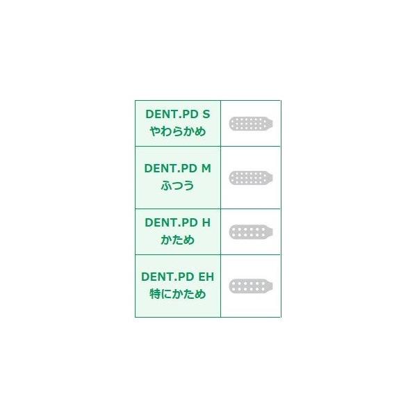 在庫限り】【Lion/ライオン】【歯科用】 DENT.PD （デントピーディー