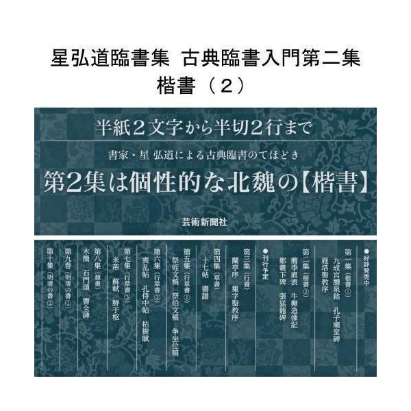 書道書籍 芸術新聞社 星弘道臨書集 古典臨書入門第二集 楷書 (２) A4判