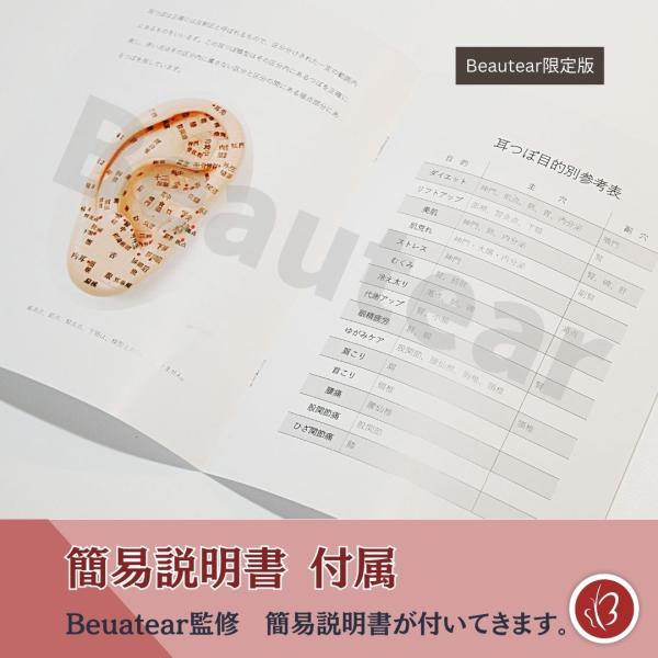 Beautear 耳つぼ模型 日本語版 17cm 日本語表記 耳模型 耳介図